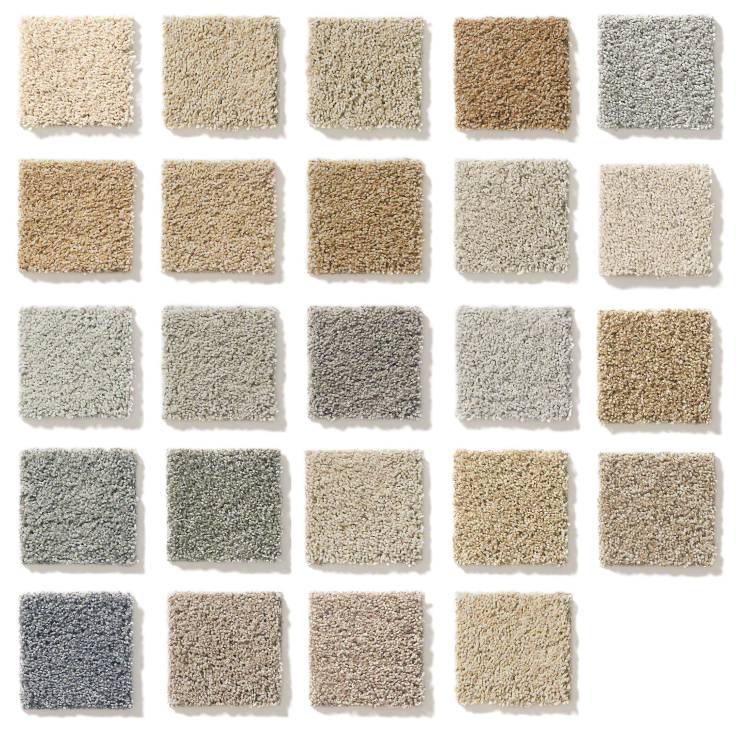 24 standard carpet options