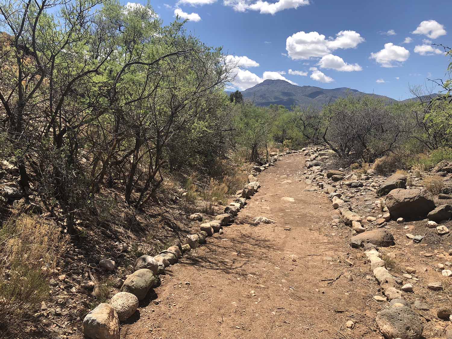 The Mescal Wash Trail