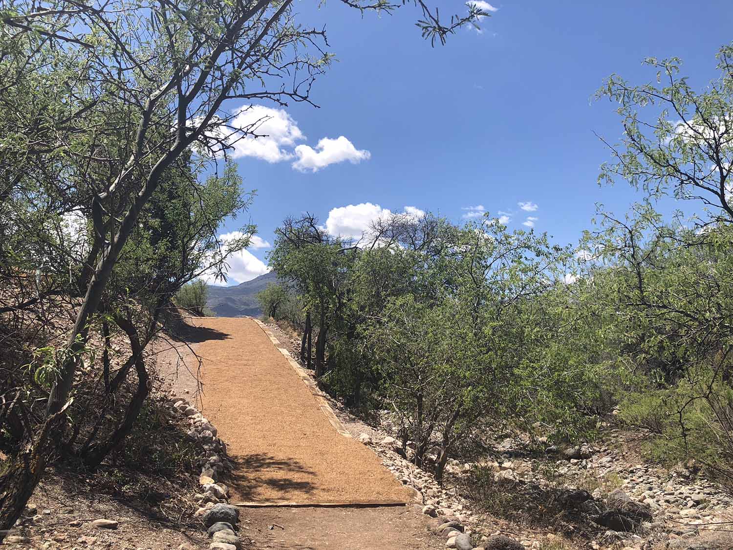 The Mescal Wash Trail